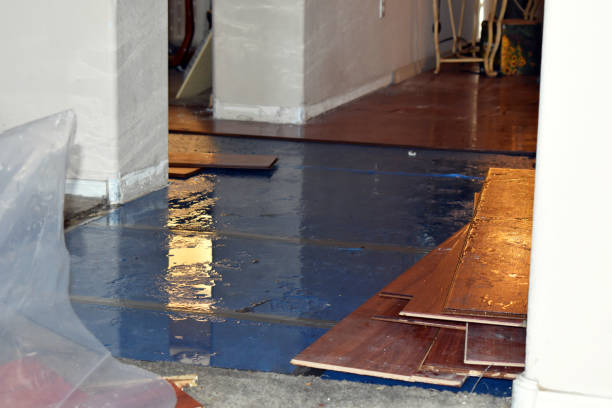Professional Basement Flood Cleanup technician working in Coloma, MI